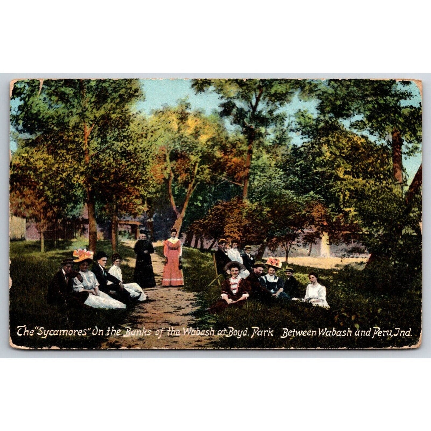 "The Sycamores" Banks of the Wabash at Boyd Park Peru, IN Postcard 1911 PM