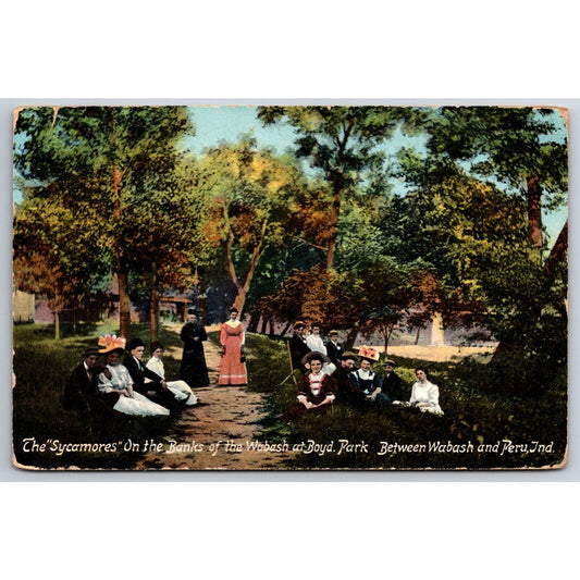 "The Sycamores" Banks of the Wabash at Boyd Park Peru, IN Postcard 1911 PM
