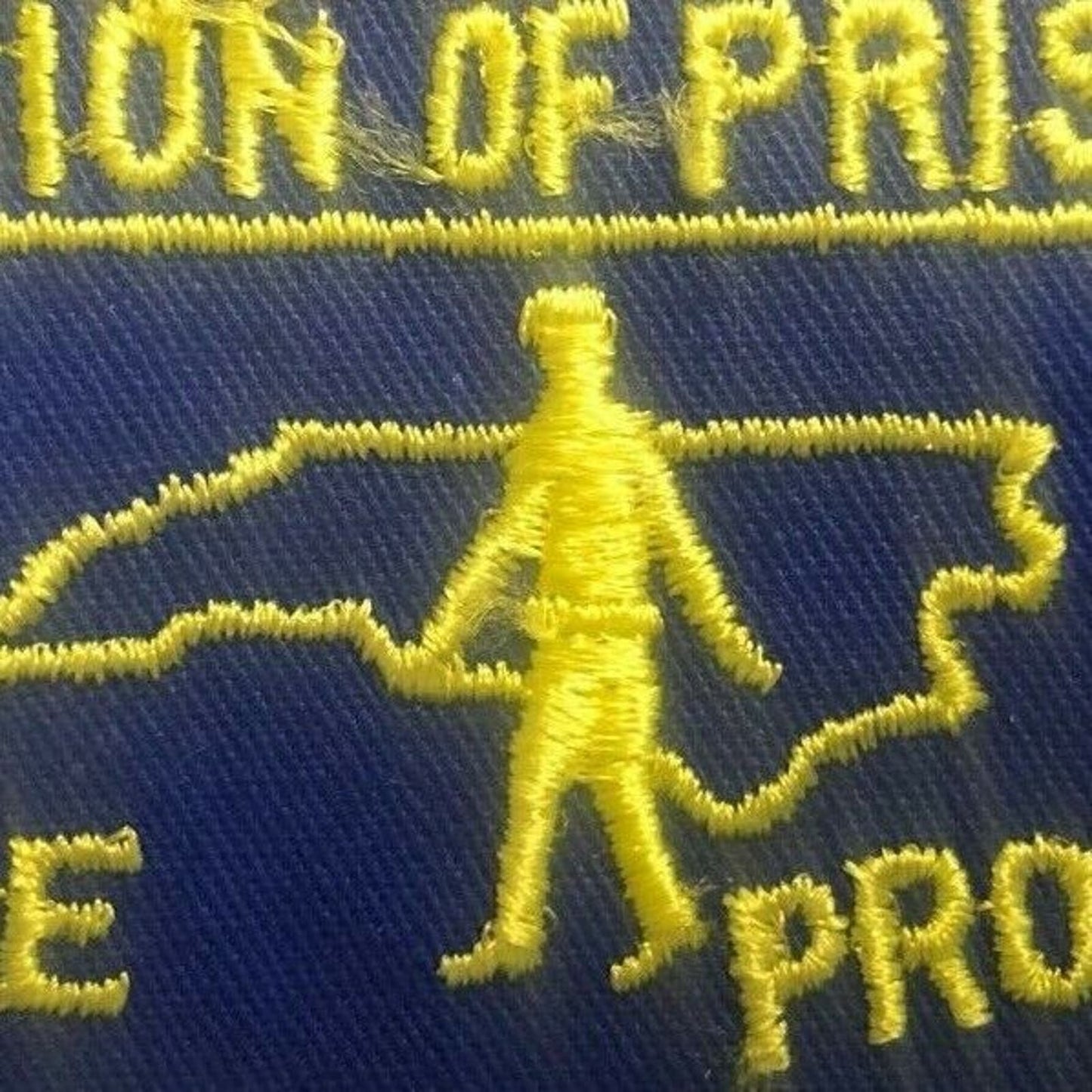 Vintage 1960's-70's "Division of Prisons Service Protection" Embroidered Patch