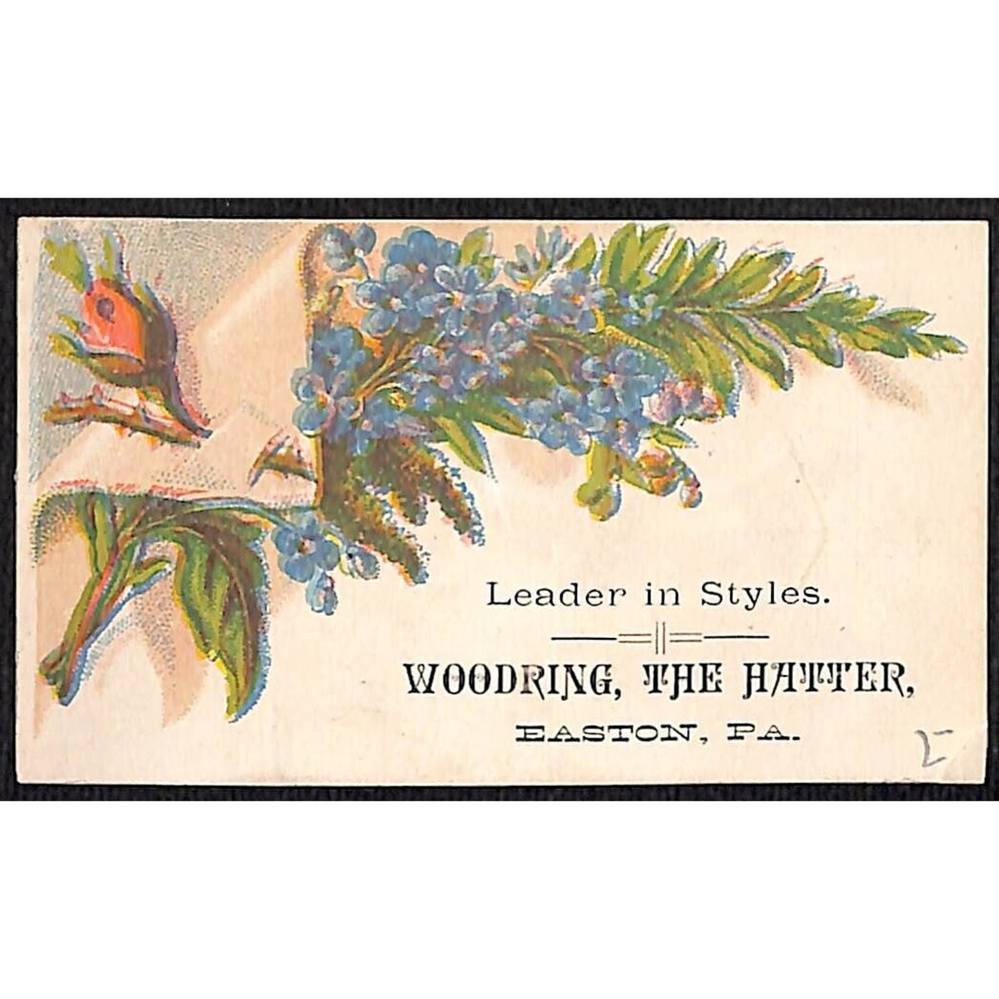 "Woodring, The Hatter" Easton, PA Leader in Styles Victorian Trade Card VGC