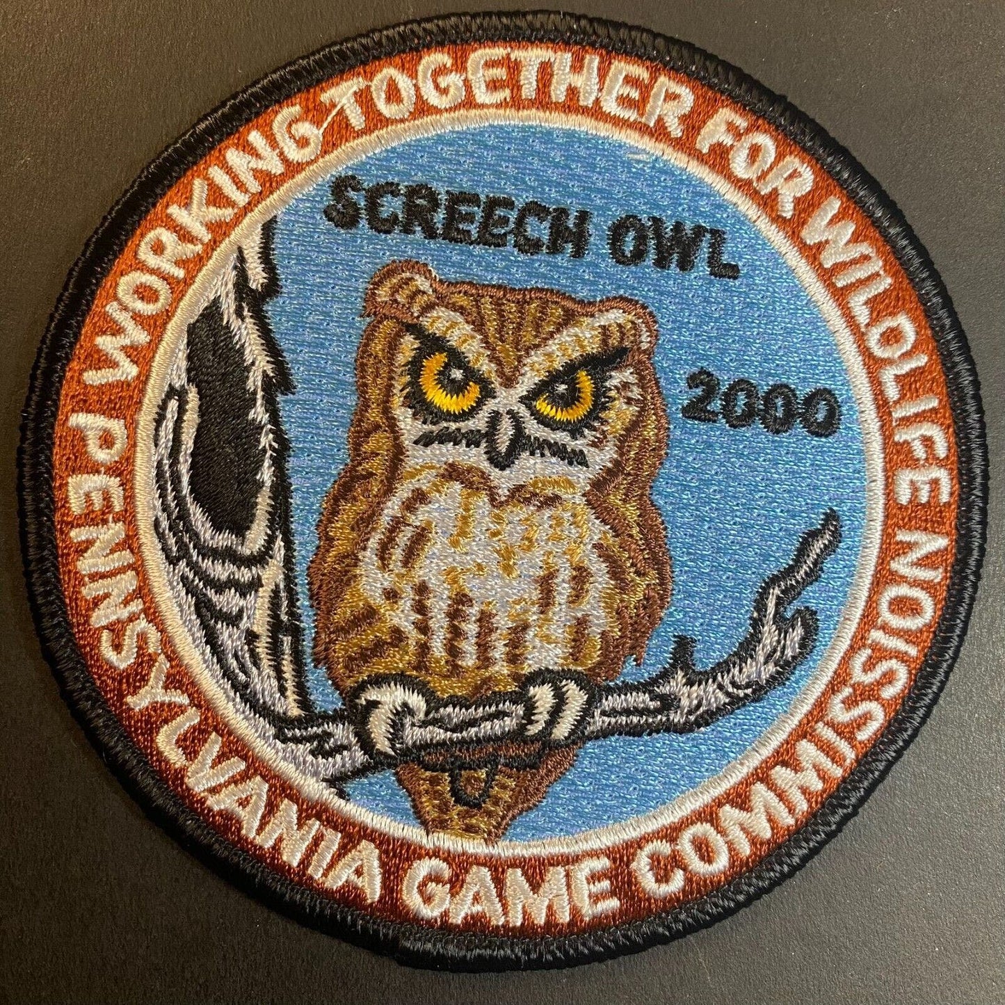 PA Game Commission Screech Owl 2000 Wildlife Embroidered Patch 4" NOS VGC