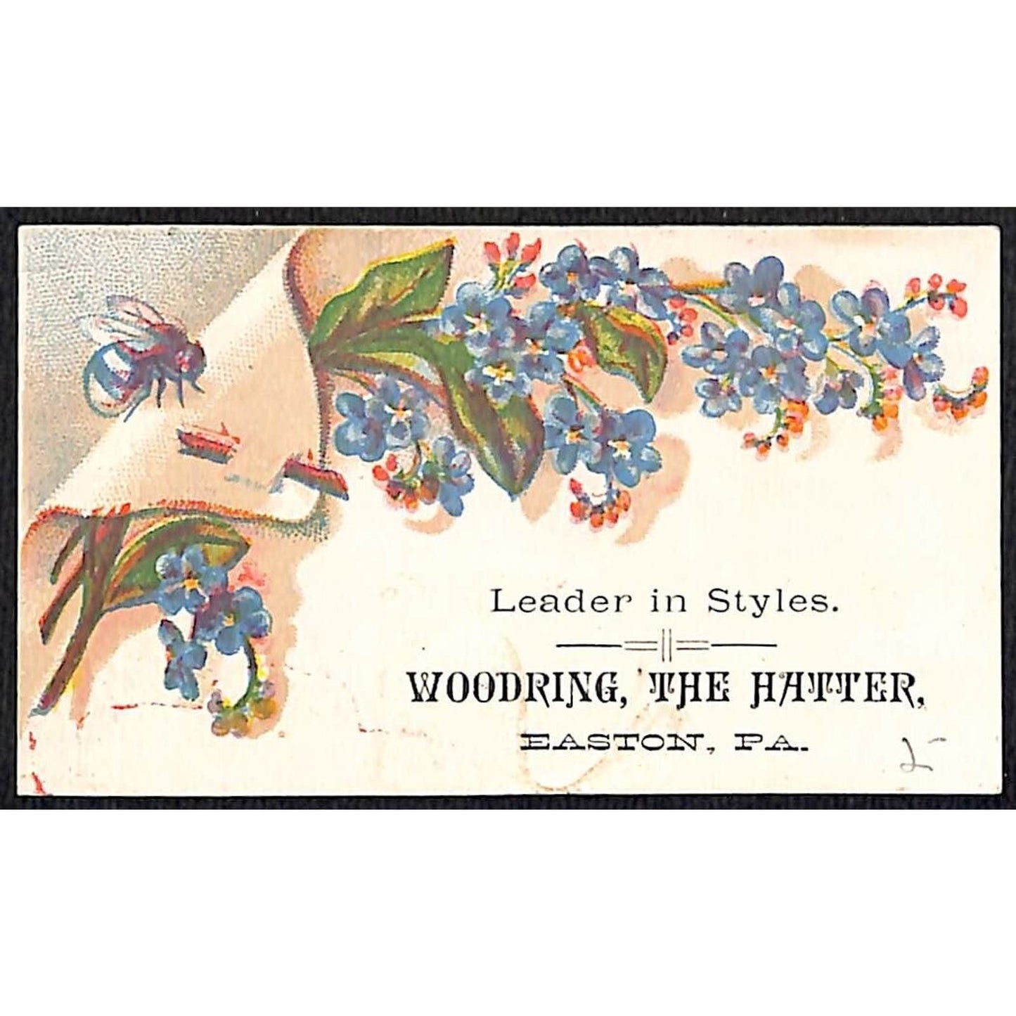 Easton, PA "Woodring, The Hatter" Leader in Styles Victorian Trade Card VGC Bee