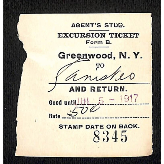 New York & Pennsylvania Ry 1917 Greenwood, NY Excursion Ticket Stub #8345