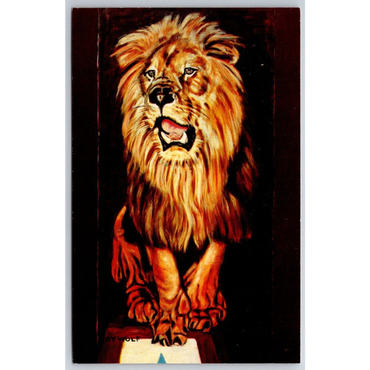 Zimba Lion Circus Painting Ray Wolf Postcard VGC NP c1952