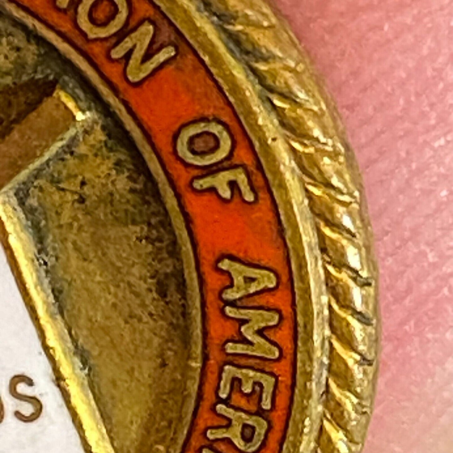 Amateur Dog Judges Association of America Color Enameled Lapel Pin Scarce 23mm