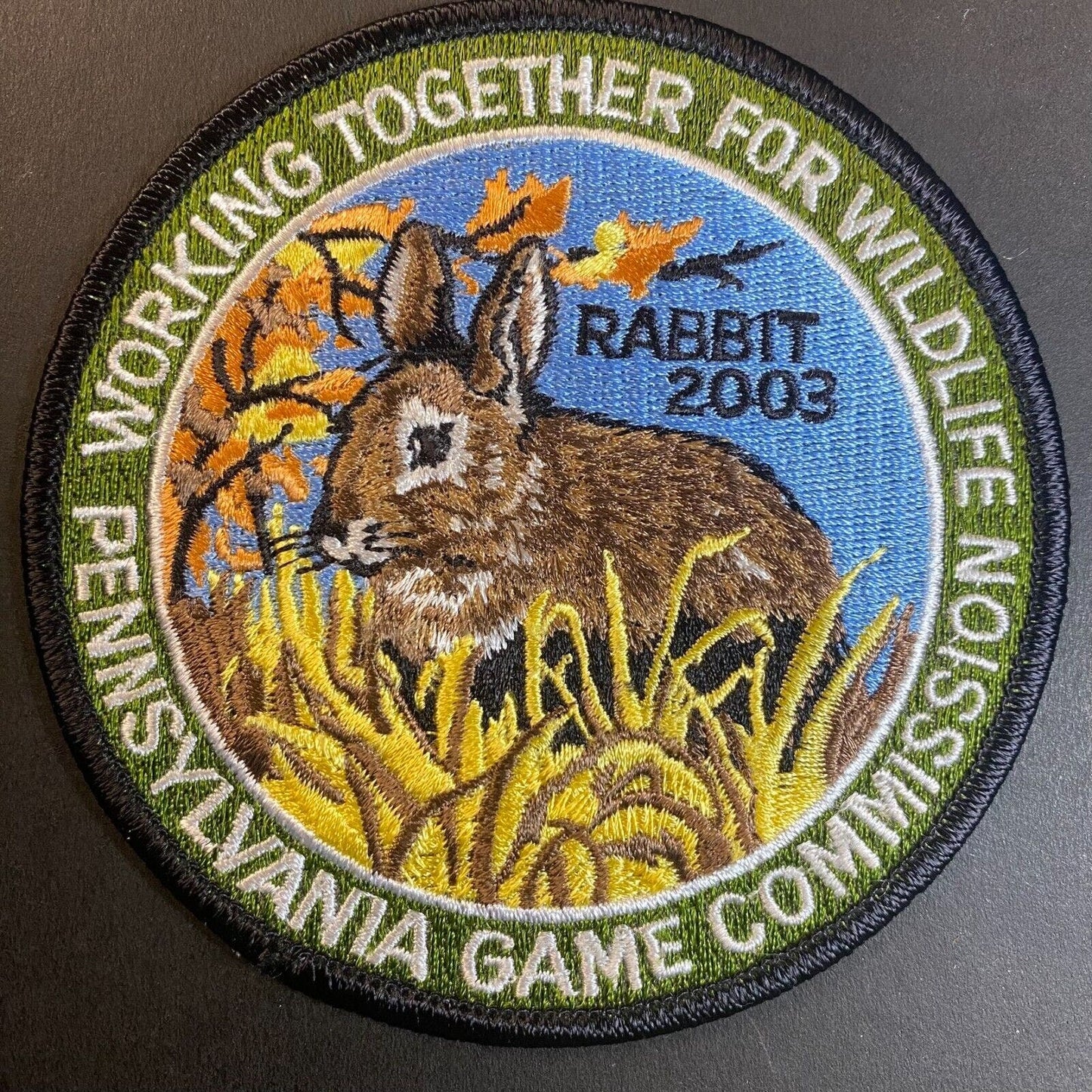 PA Game Commission Screech Owl 2003 Wildlife Embroidered Patch 4" NOS VGC