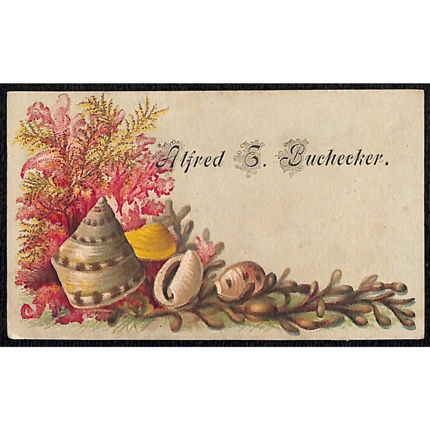 "Alfred E. Buchecker" Victorian Calling Greeting Card - Floral w/ Sea Shells