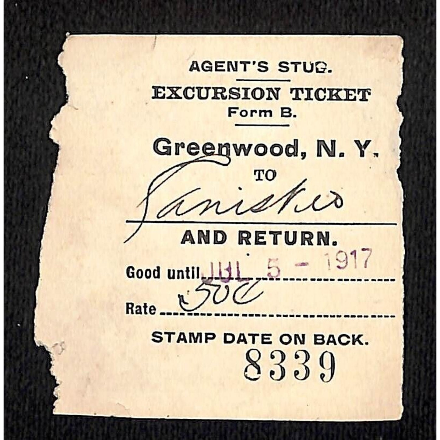 New York & Pennsylvania Ry 1917 Greenwood, NY Excursion Ticket Stub #8339
