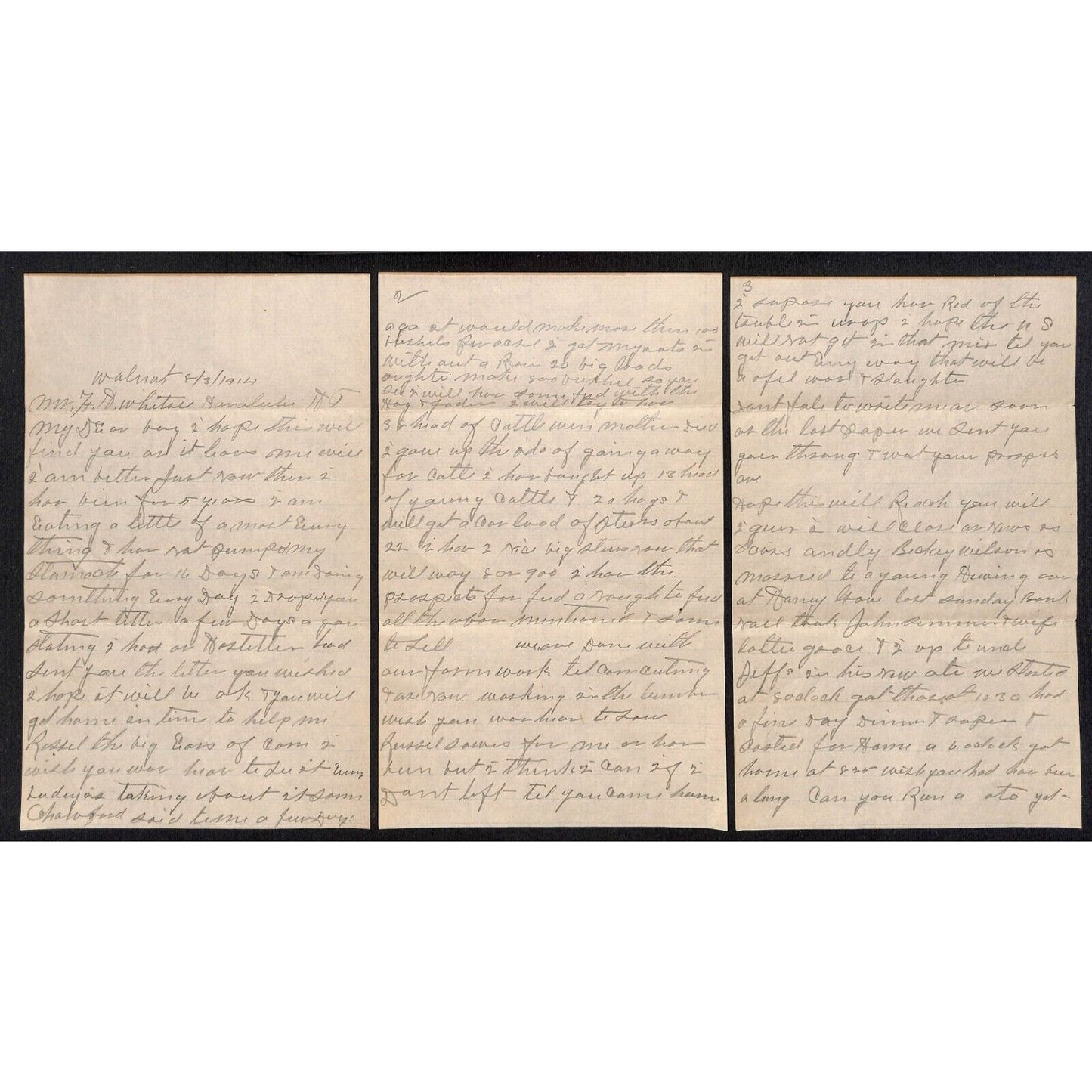 1914 3pp ALS + Cover to F.H. Whitsel ? Fort Ruger Honolulu