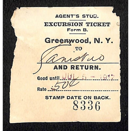 New York & Pennsylvania Ry 1917 Greenwood, NY Excursion Ticket Stub #8336