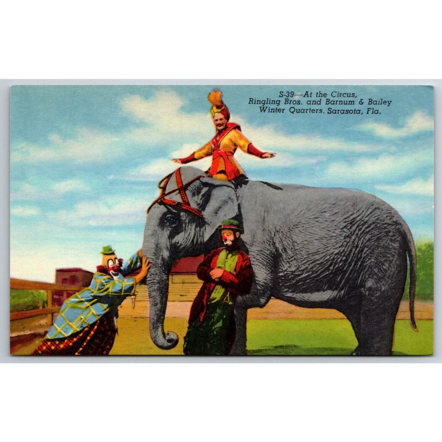 Elephant Ringling Bros. and Barnum & Baily Sarasota Postcard c1930's NP VGC