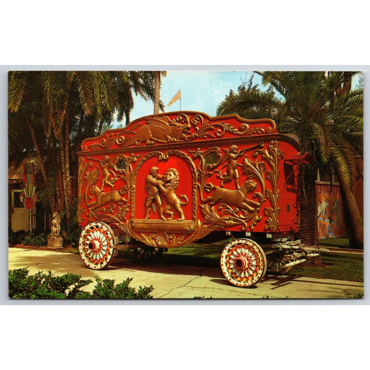 Ringling Museum Circus "Lion and Gladiator" Bandwagon Postcard VGC NP c1960's