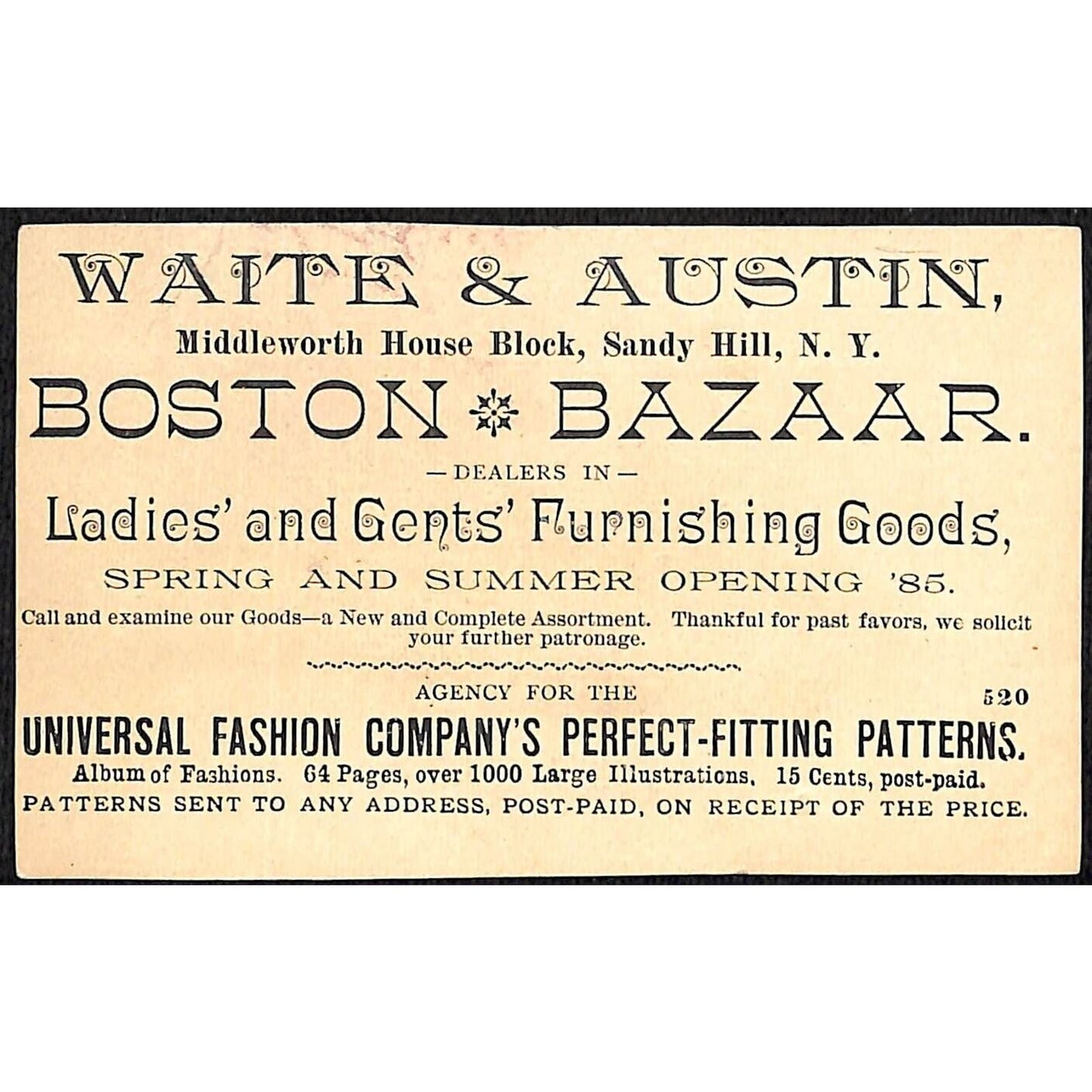 Waite & Austin Sandy Hill, NY Universal Patterns Victorian Trade Card Angry Pair