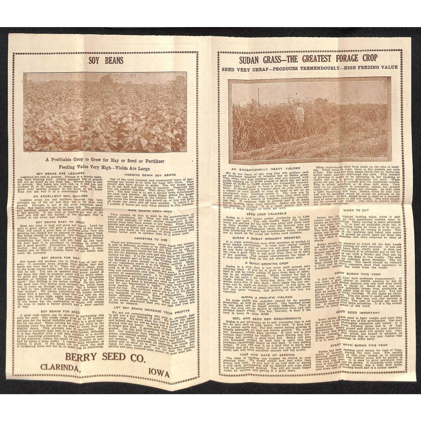 1929 Berry Seed Co. Clarinda, IA Letterheads, Product, Price Sheets & Packets