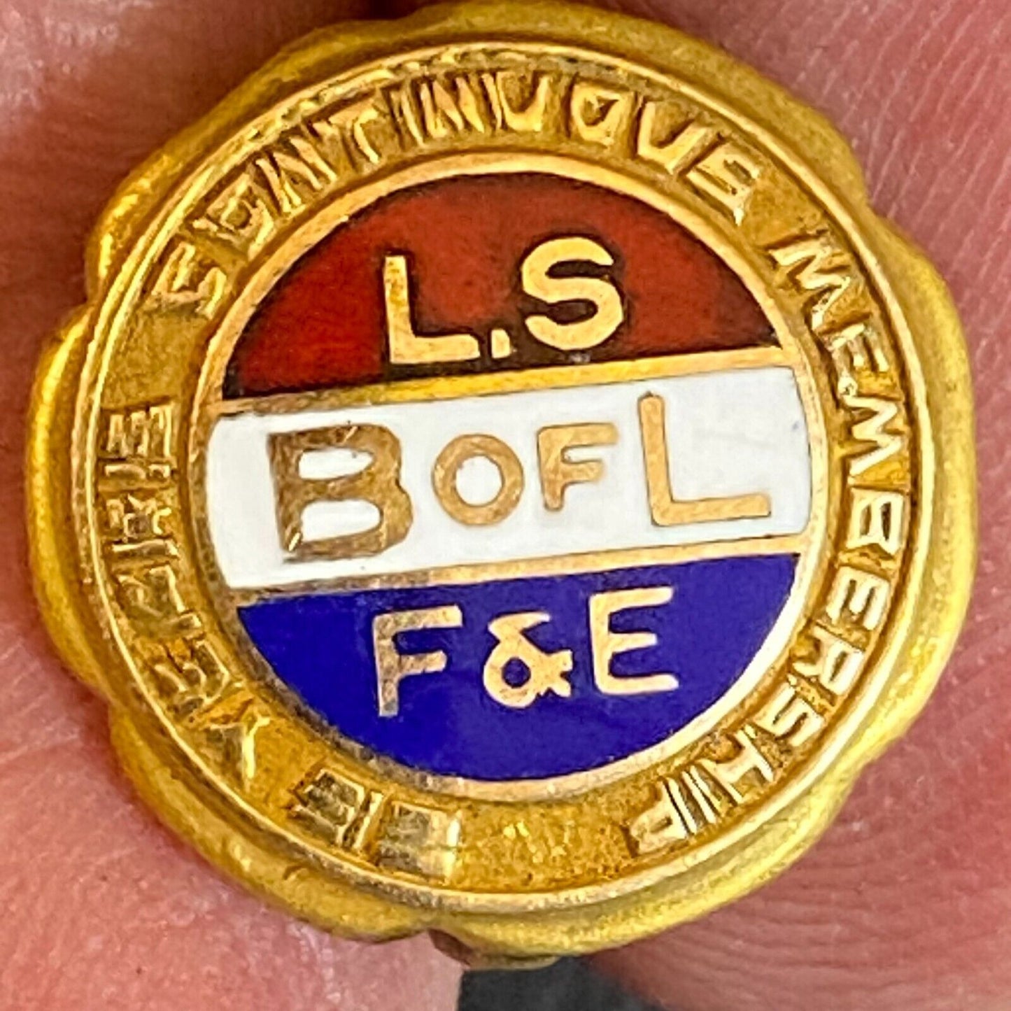 L.S. B of L F&E (Locomotive Firemen) 25yr. Color Enameled Lapel Pin 14mm