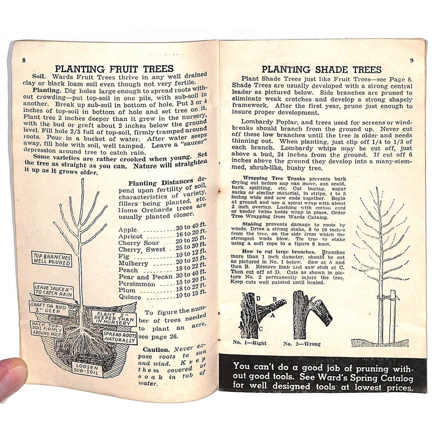1942 Mongomery Wards Planting Guide Fertilizers Illustrations Booklet 31pp