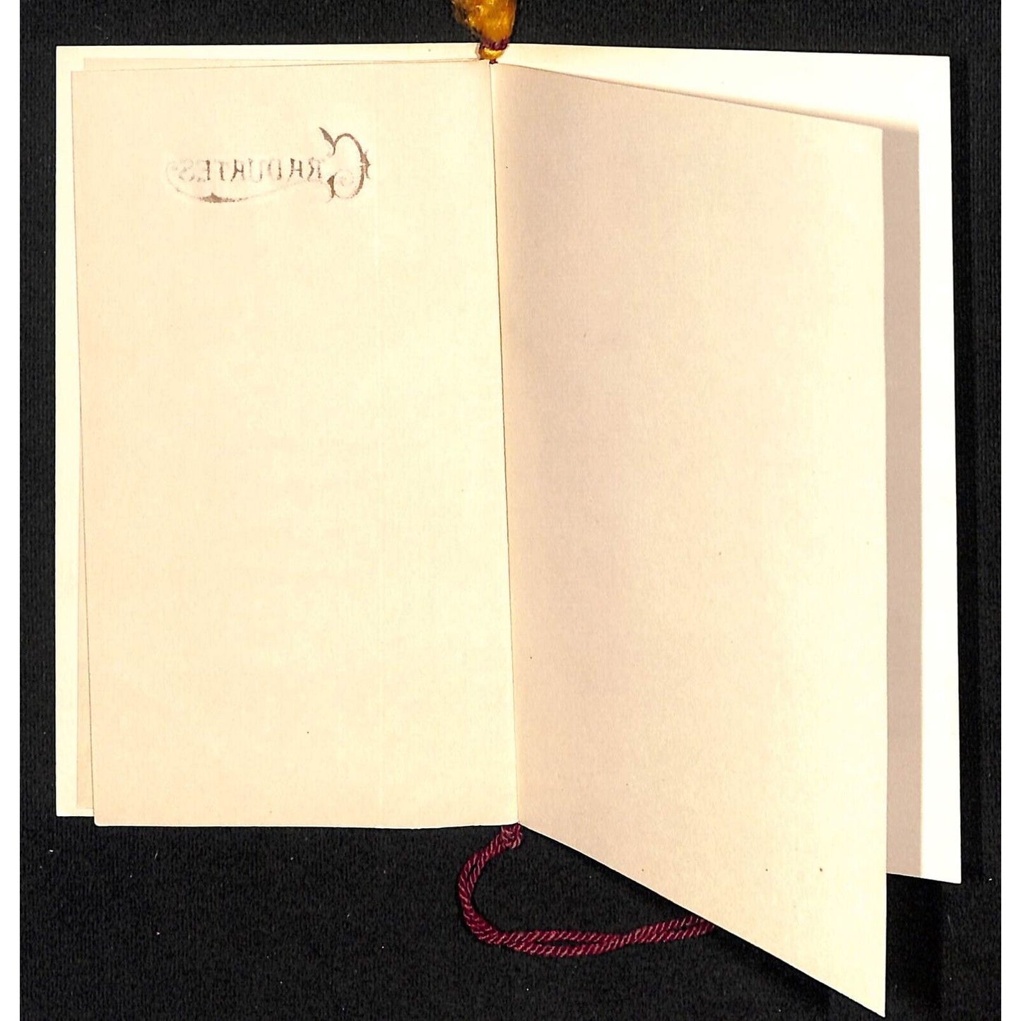 1915 Honey Brook Borough High School Commencement Program PA Ethel Zeigler