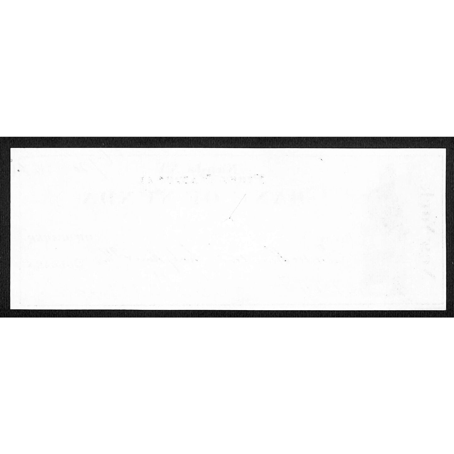 First National Bank of Nunda, NY 1876 Bank Check Rev Stamp