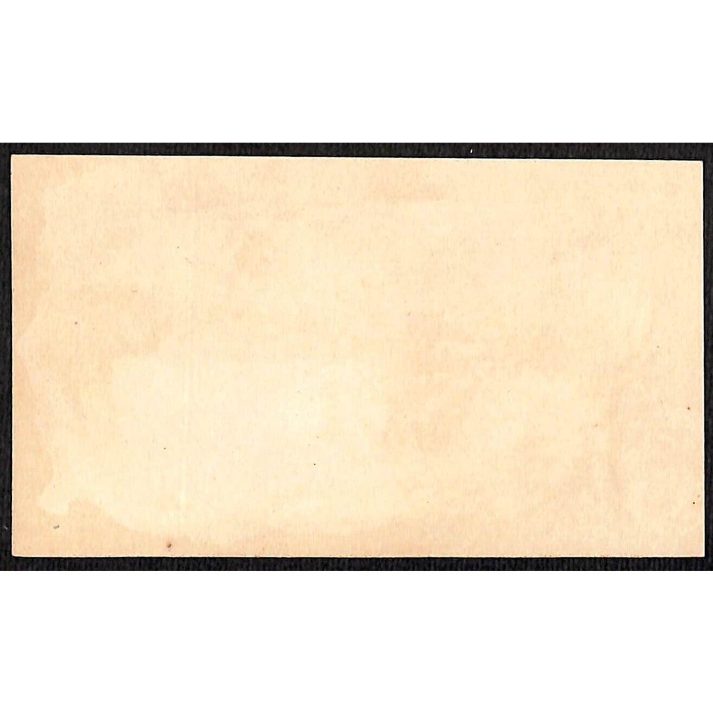 Burlington, VT W.W. Wood (Boots & Shoes) Victorian Trade Card VGC Red Flower