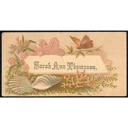 "Sarah Ann Thompson" Victorian Calling Greeting Card w/ Sea Shells Butterfly
