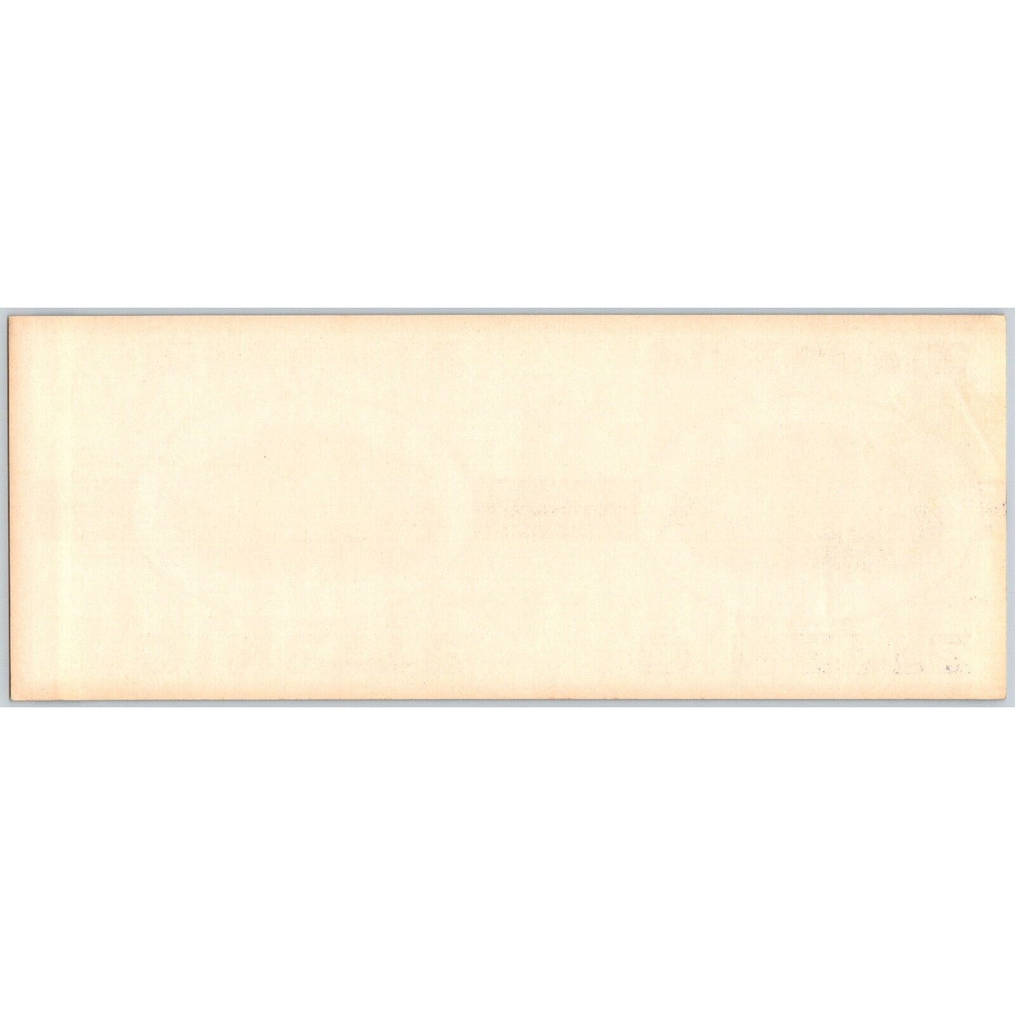 Dinette Brand Sliced Pineapple Webster Danville, IL Paper Can Label c1940's VGC