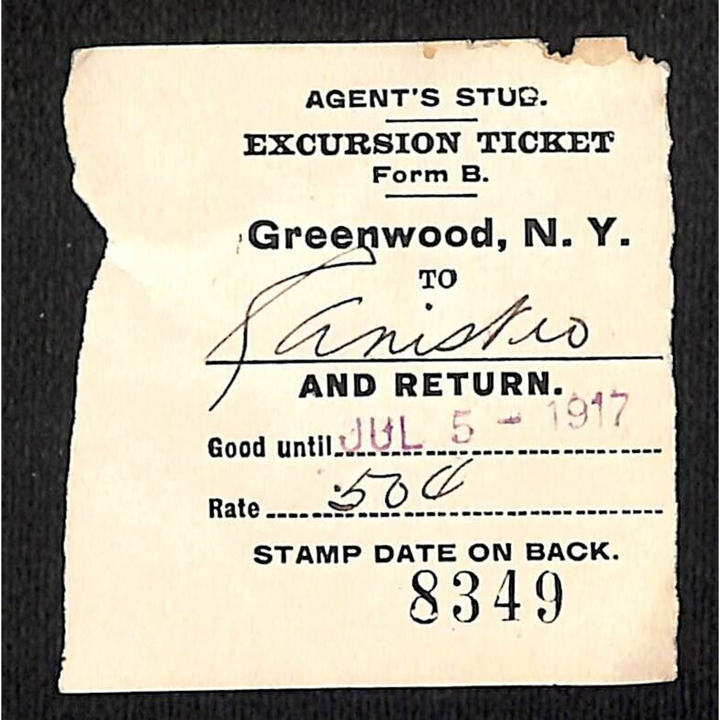 New York & Pennsylvania Ry 1917 Greenwood, NY Excursion Ticket Stub #8349