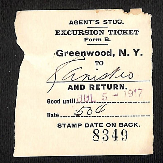 New York & Pennsylvania Ry 1917 Greenwood, NY Excursion Ticket Stub #8349