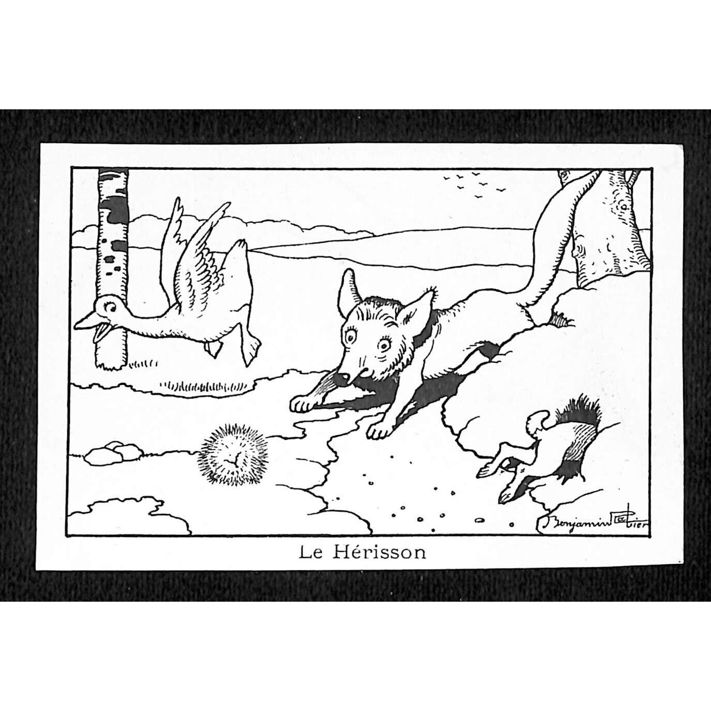 Le Hérisson / Hedgehog The Arrival of the Fox Benjamin Rabier Drawing c1936