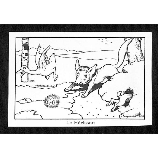 Le Hérisson / Hedgehog The Arrival of the Fox Benjamin Rabier Drawing c1936