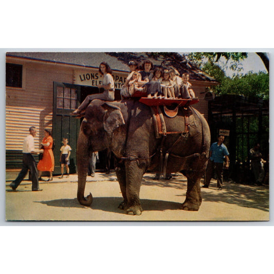 Benson Wild Animal Farm Hudson Centre, NH Elephant Ride Postcard NP c1950's