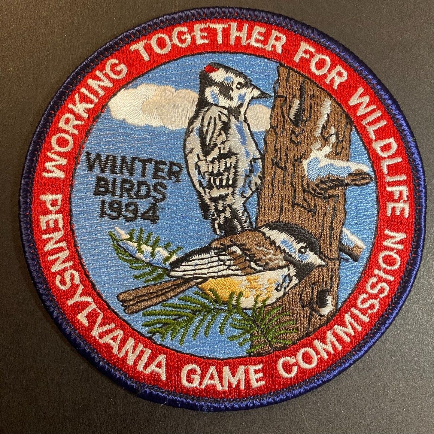 PA Game Commission Winter Birds 1994 Wildlife Embroidered Patch 4" NOS VGC