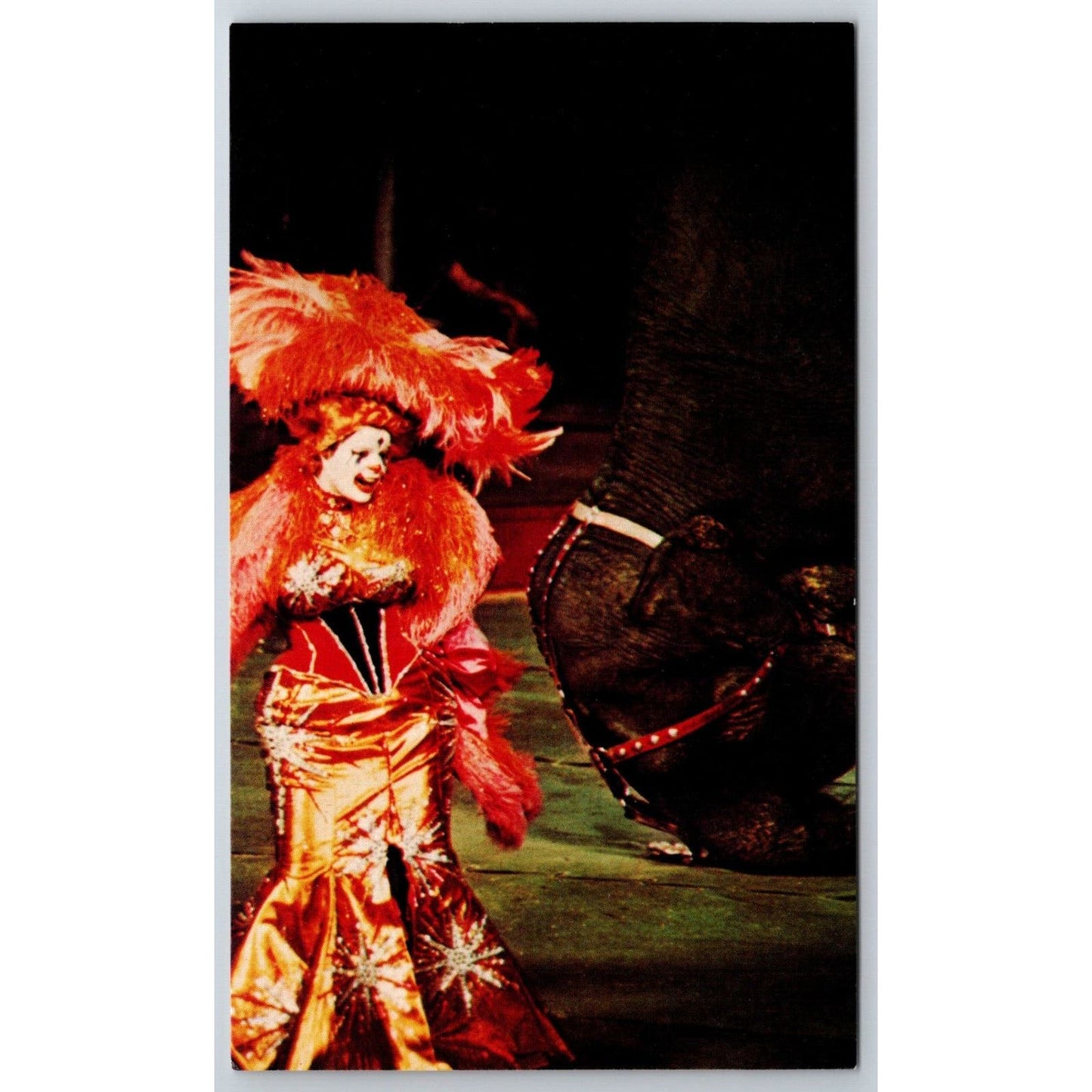 Ringling Bros. Lady Laughmaker Peggy Williams Postcard VGC NP c1976