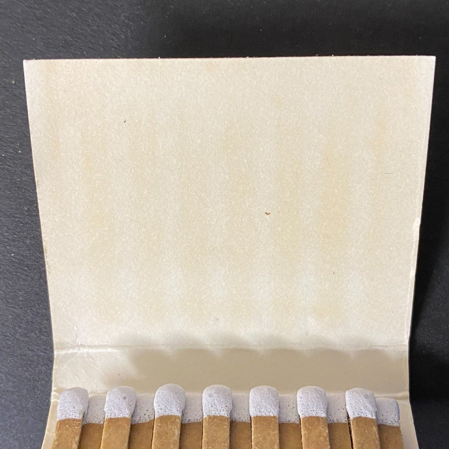 Dunham Woods Riding Club Wayne, IL Full Matchbook c1974-80's VGC Scarce