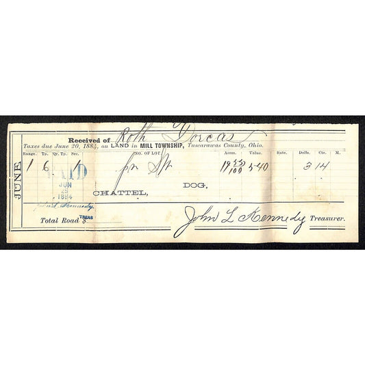 Dorcas Roth Mill Township, OH 1884 Property Tax Receipt