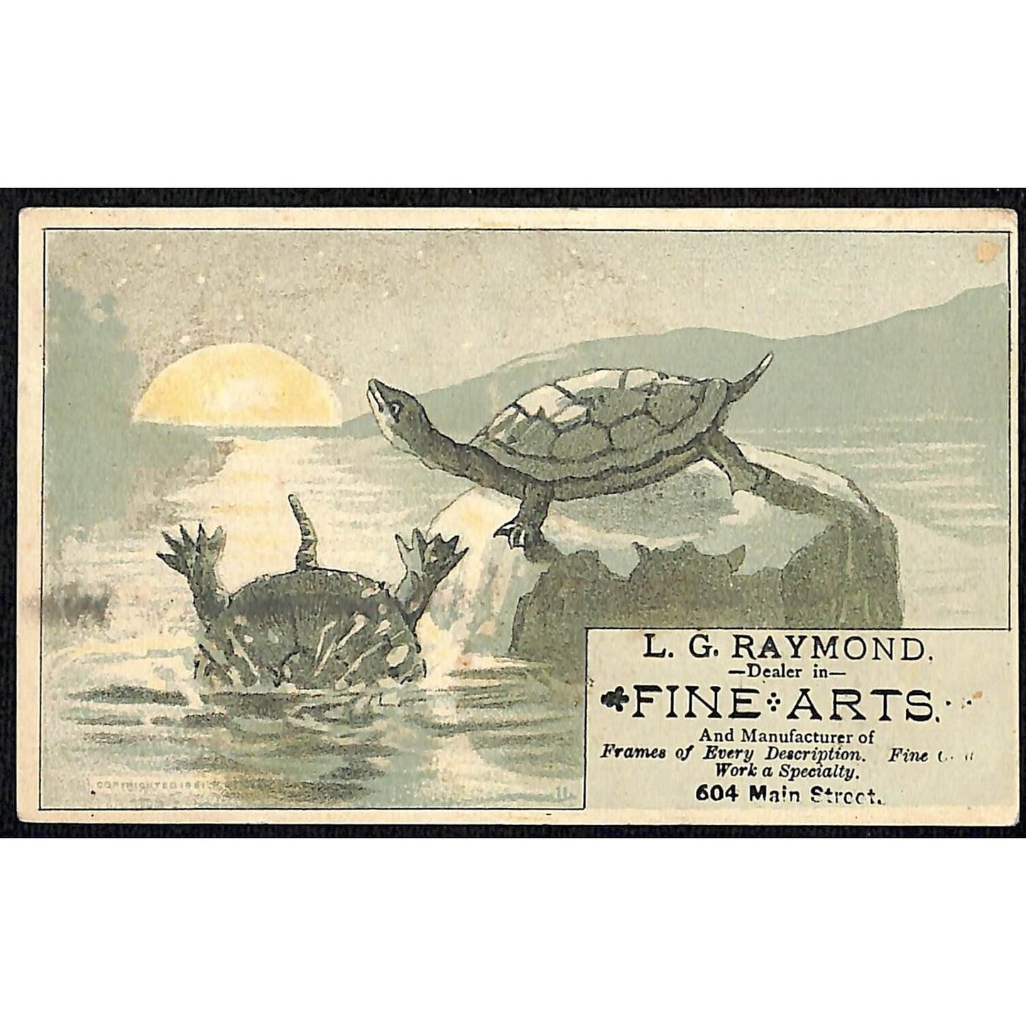 L.G. Raymond Fine Arts Dealer Victorian Trade Card Turtles Dive Moonlight