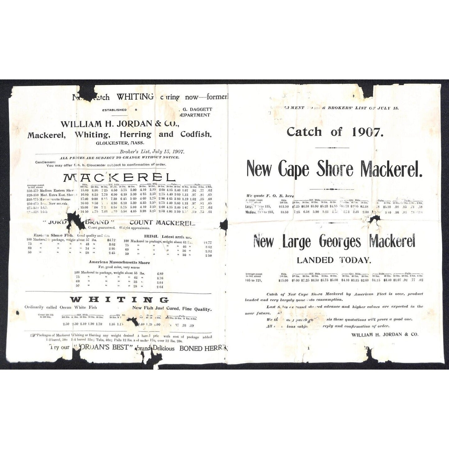 William H. Jordan & Co. 1905 Salt Water Fish Price List Sheet - Very Damaged