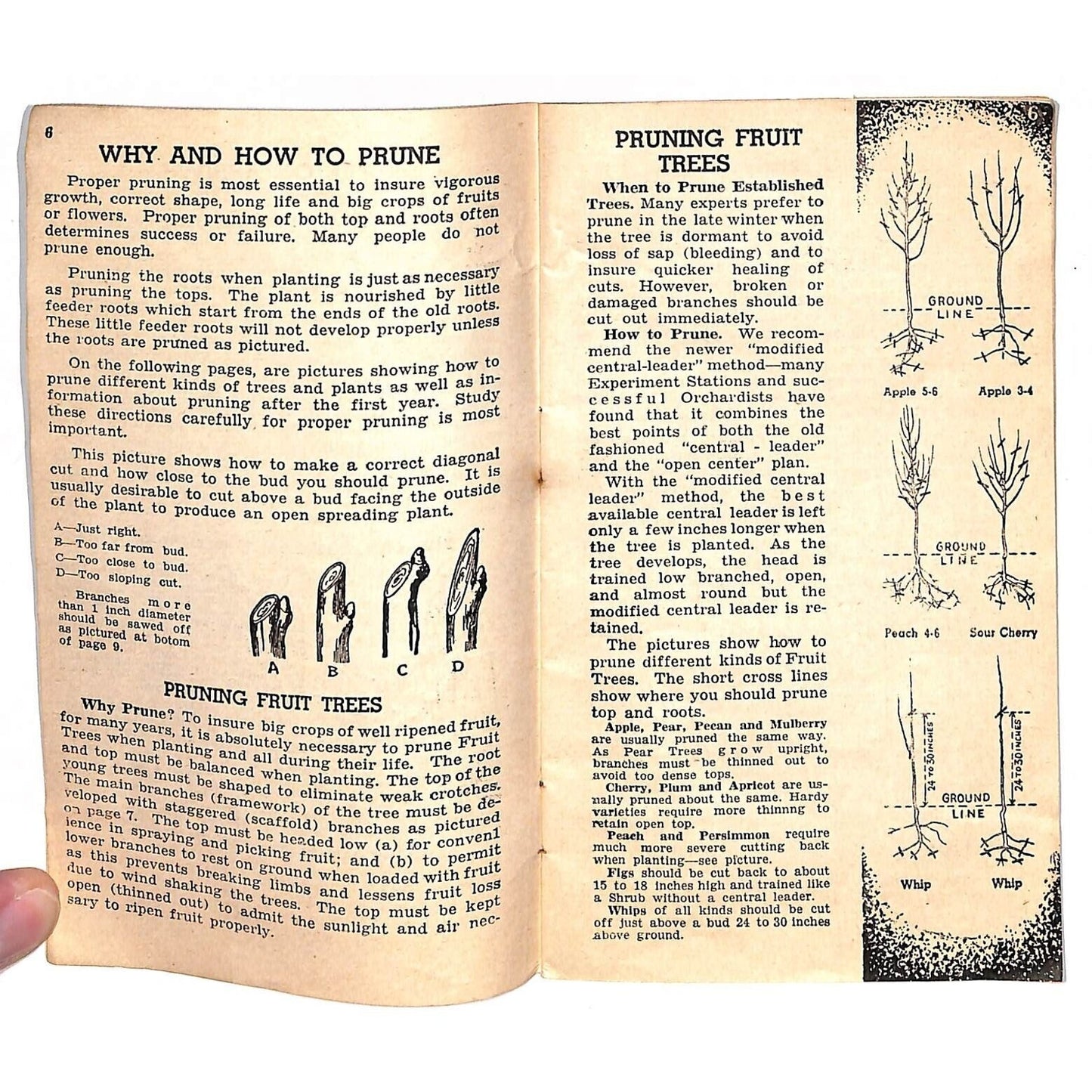1942 Mongomery Wards Planting Guide Fertilizers Illustrations Booklet 31pp