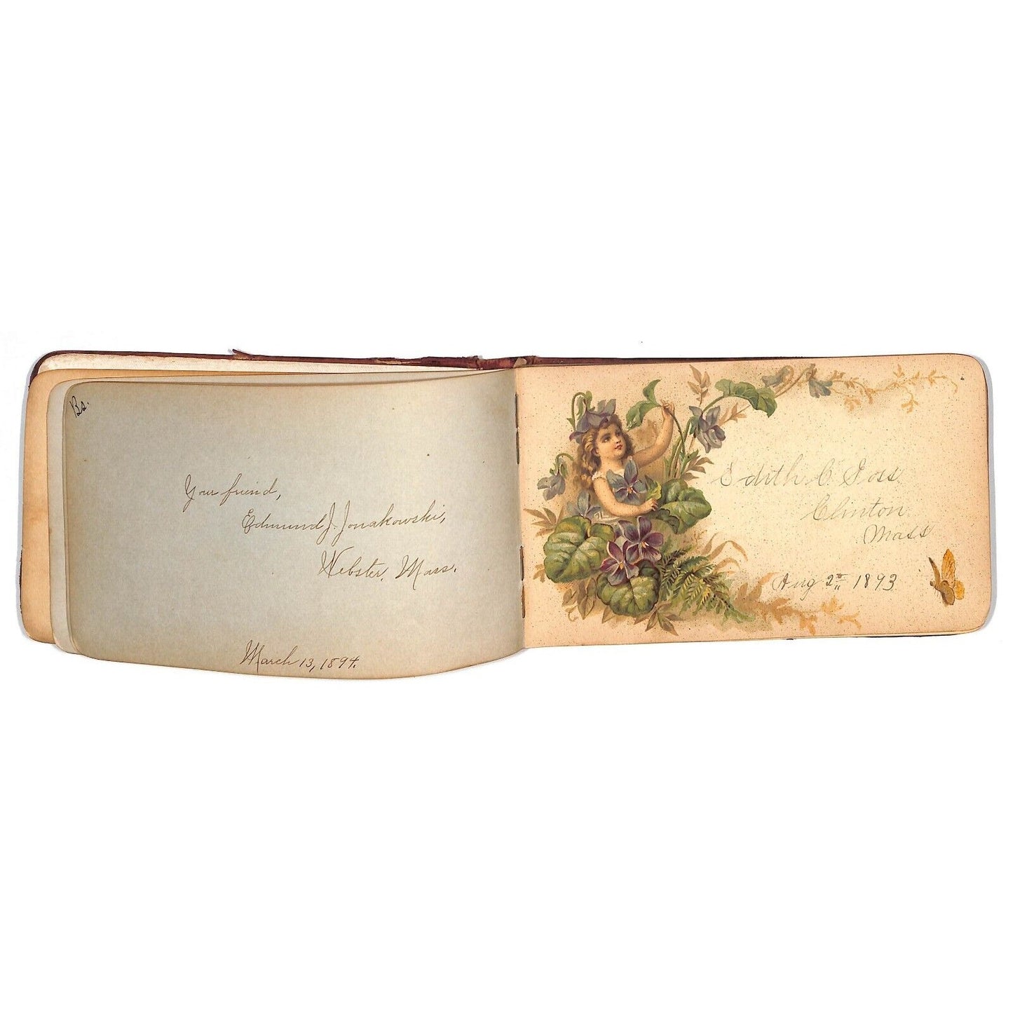 1881 1885 Victorian Signature Book w/ some Color Illustration Pages