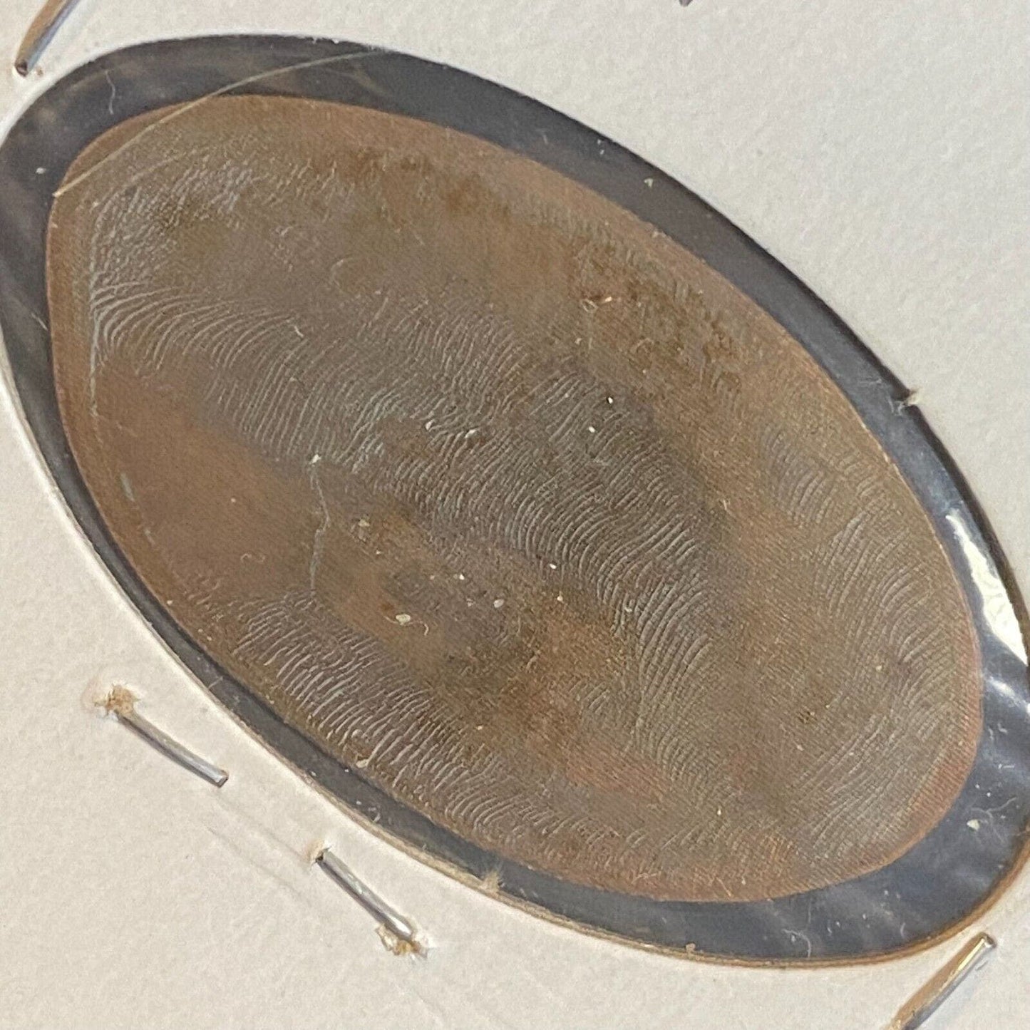 Long Beach Aquarium of the Pacific Elongated Penny w/ Sea Lion c1998-2000's