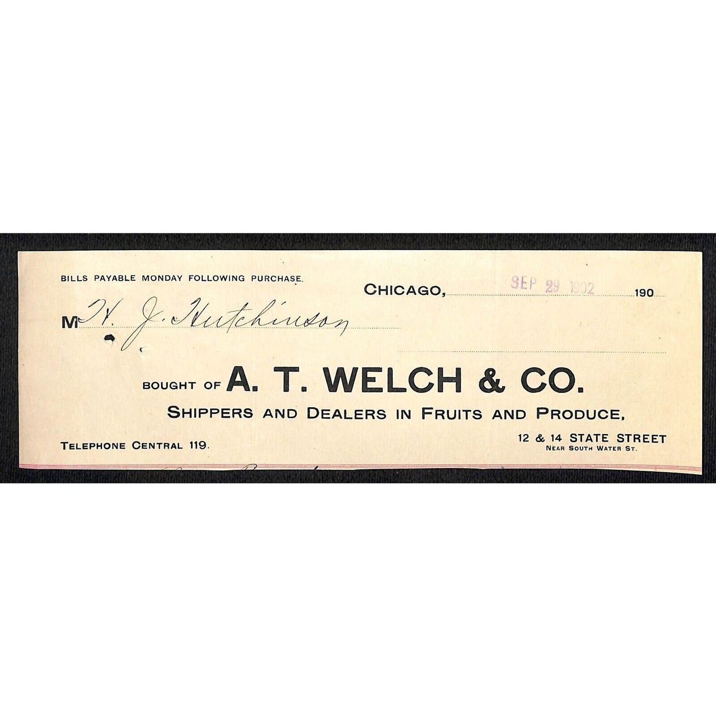 A.T. Welch & Co Produce Fruit Dealers Hutchinson Decorah IA* Cut 1902 Billhead