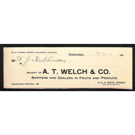 A.T. Welch & Co Produce Fruit Dealers Hutchinson Decorah IA* Cut 1902 Billhead