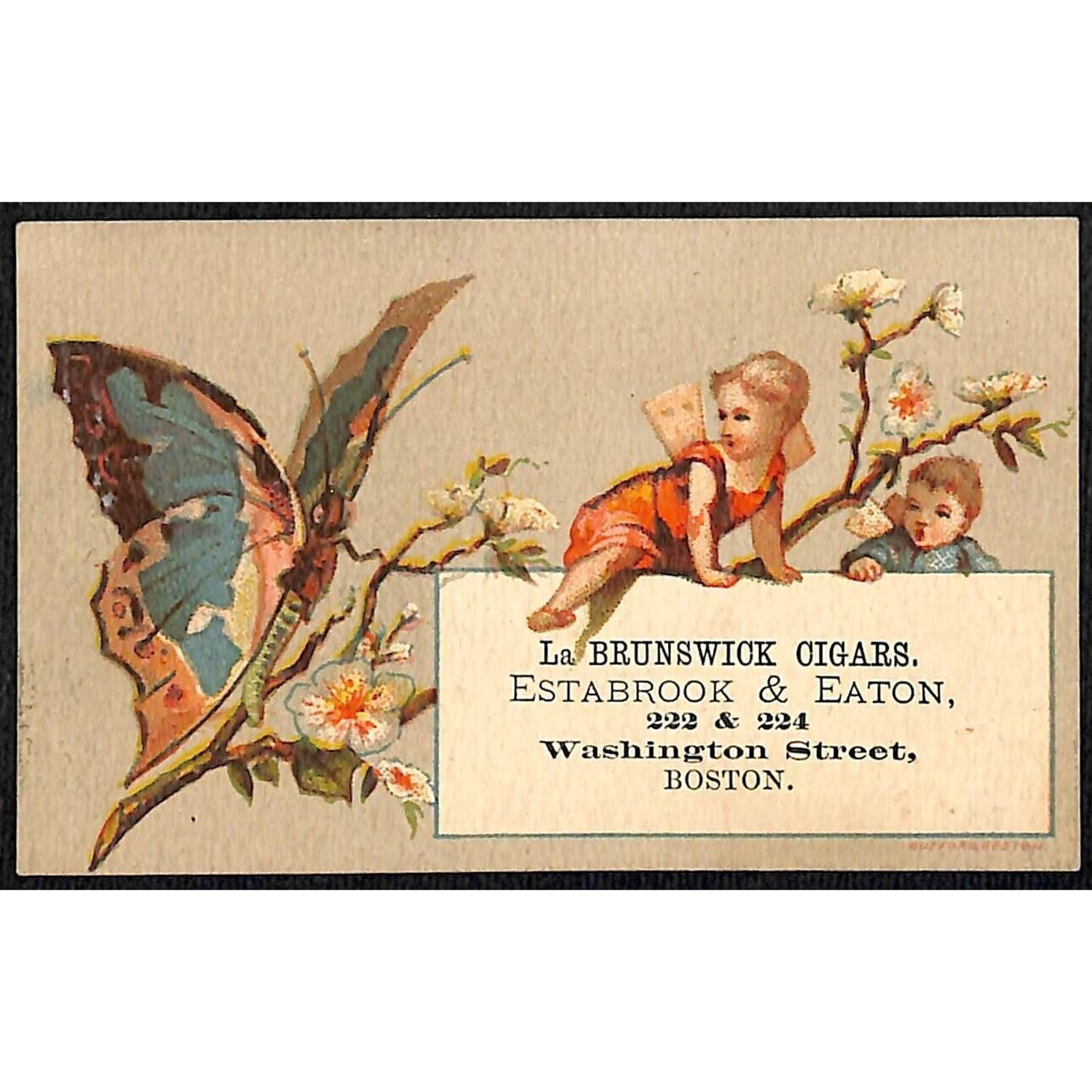 La Brunswick Cigars Washington St. Boston Victorian Trade Card VGC Butterfly
