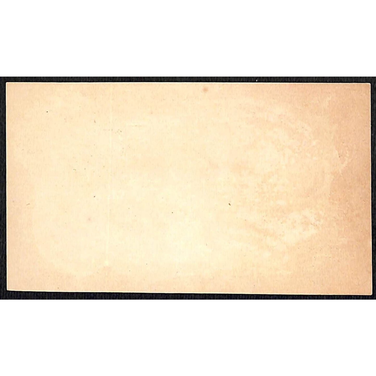 Burlington, VT W.W. Wood (Boots & Shoes) Victorian Trade Card VGC Flowers