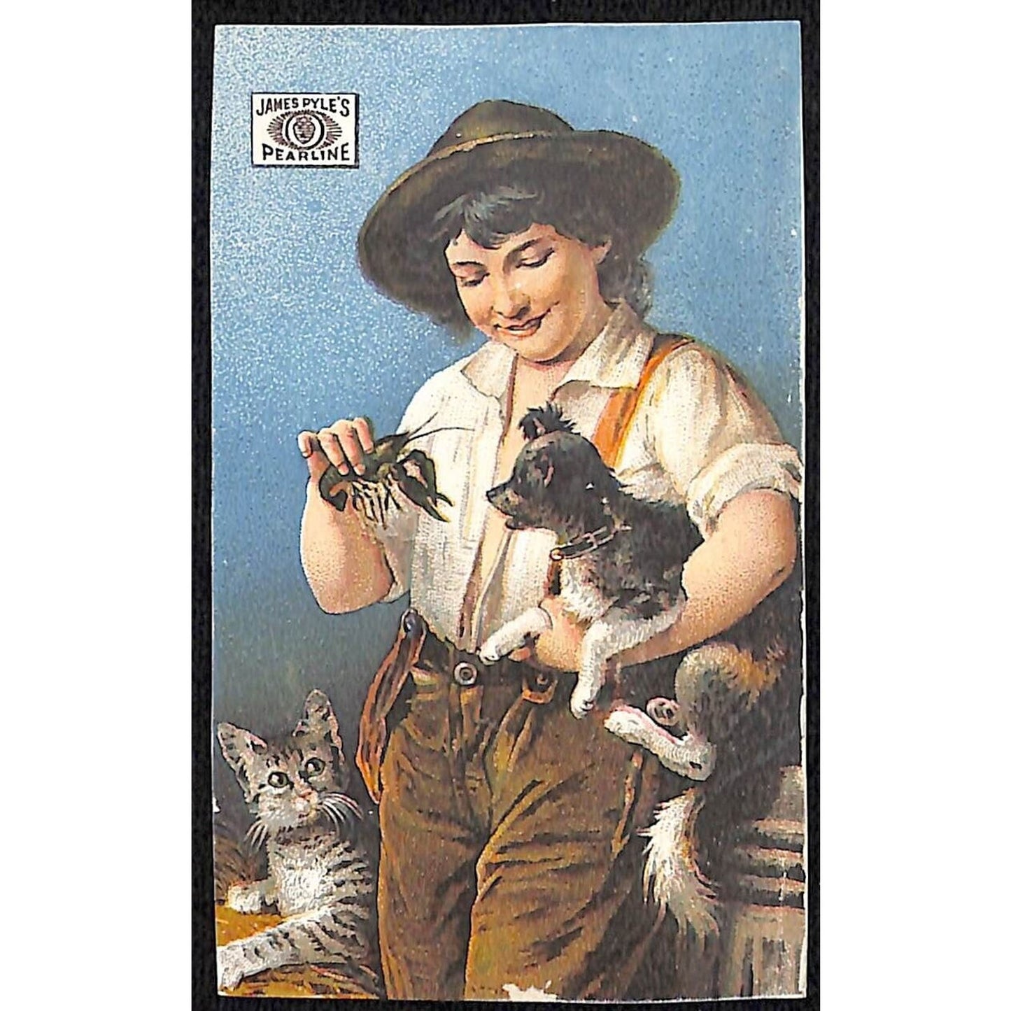 James Pyle's Pearline Washing Compound Victorian Trade Card Girl Cat Dog Trimmed