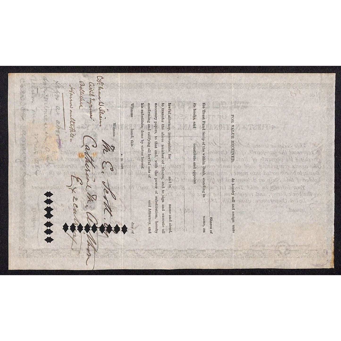 First National Bank Cooperstown, NY Trust Fund Script 1881 Stock Certificate