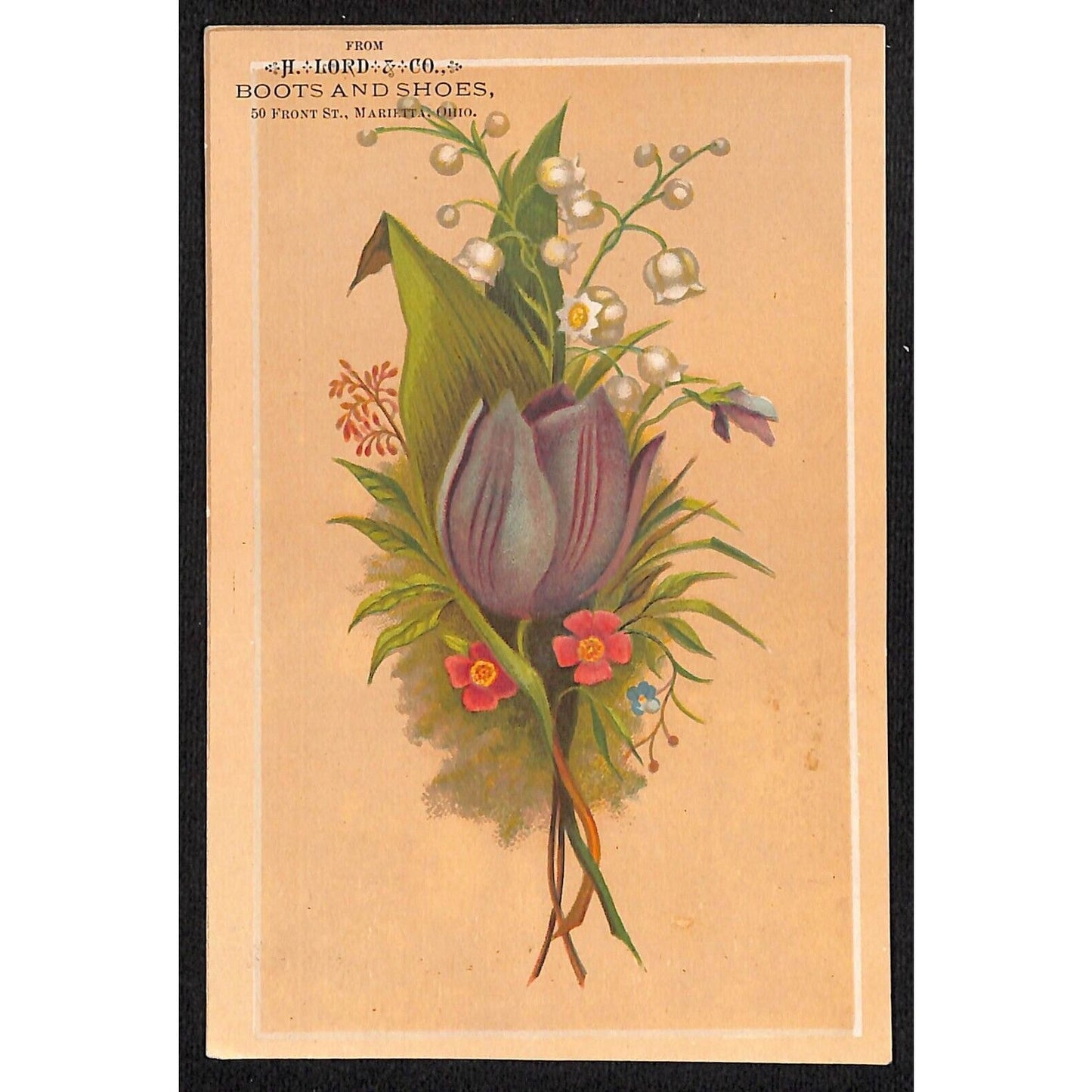 H. Lord & Co. Boots and Shoes Marietta, OH Victorian Trade Card Floral