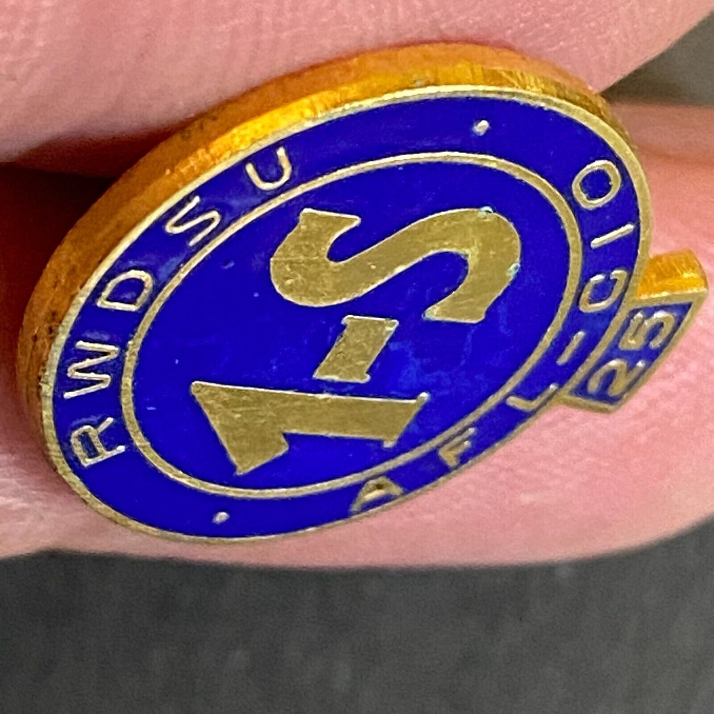 RWDSU AFL - CIO 1-S 25 Store Union Colored Enameled Lapel Pin 17mm