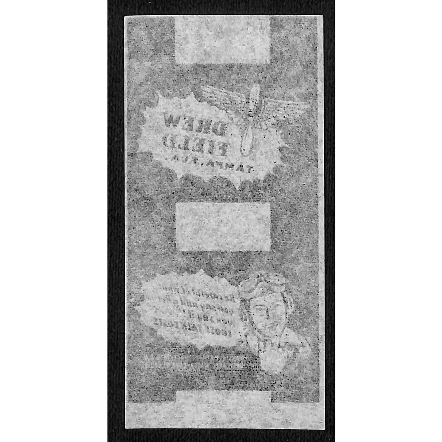 Drew Field Tampa, FL WWII Matchbox Label Air Force Pilot Says "Loose Talk Costs"