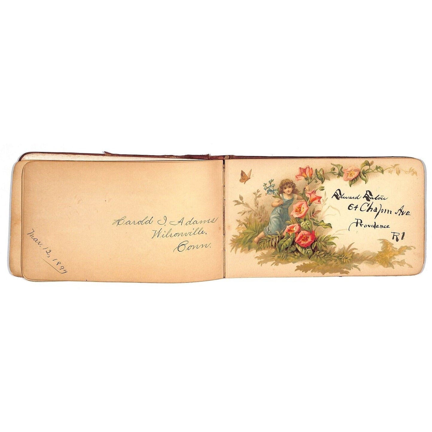1881 1885 Victorian Signature Book w/ some Color Illustration Pages