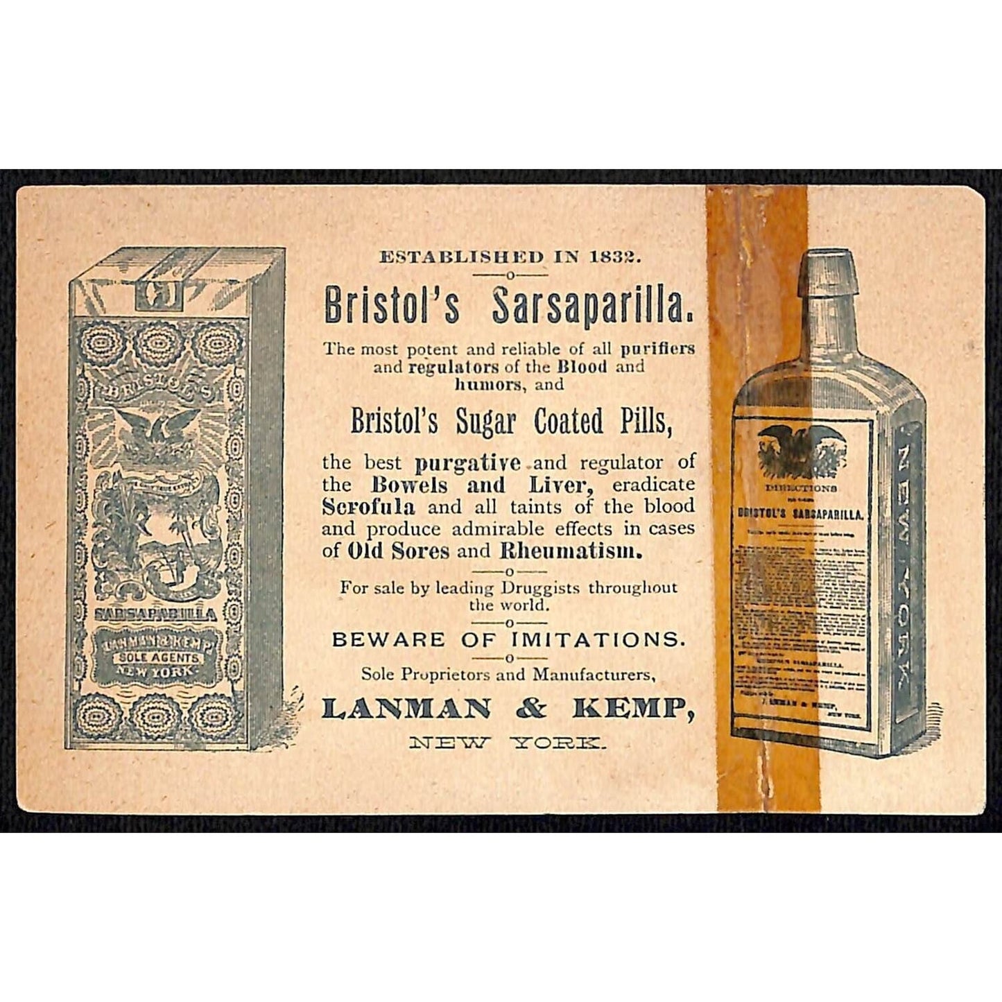 Bristol's Sarsaparilla Victorian Trade Card Girl Poses with Product